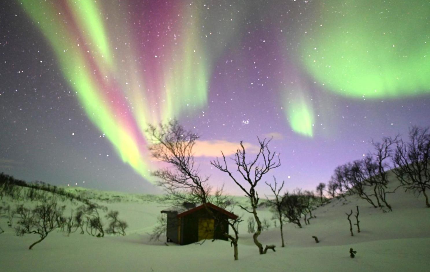 Atte Arstider Lodge Neiden エクステリア 写真